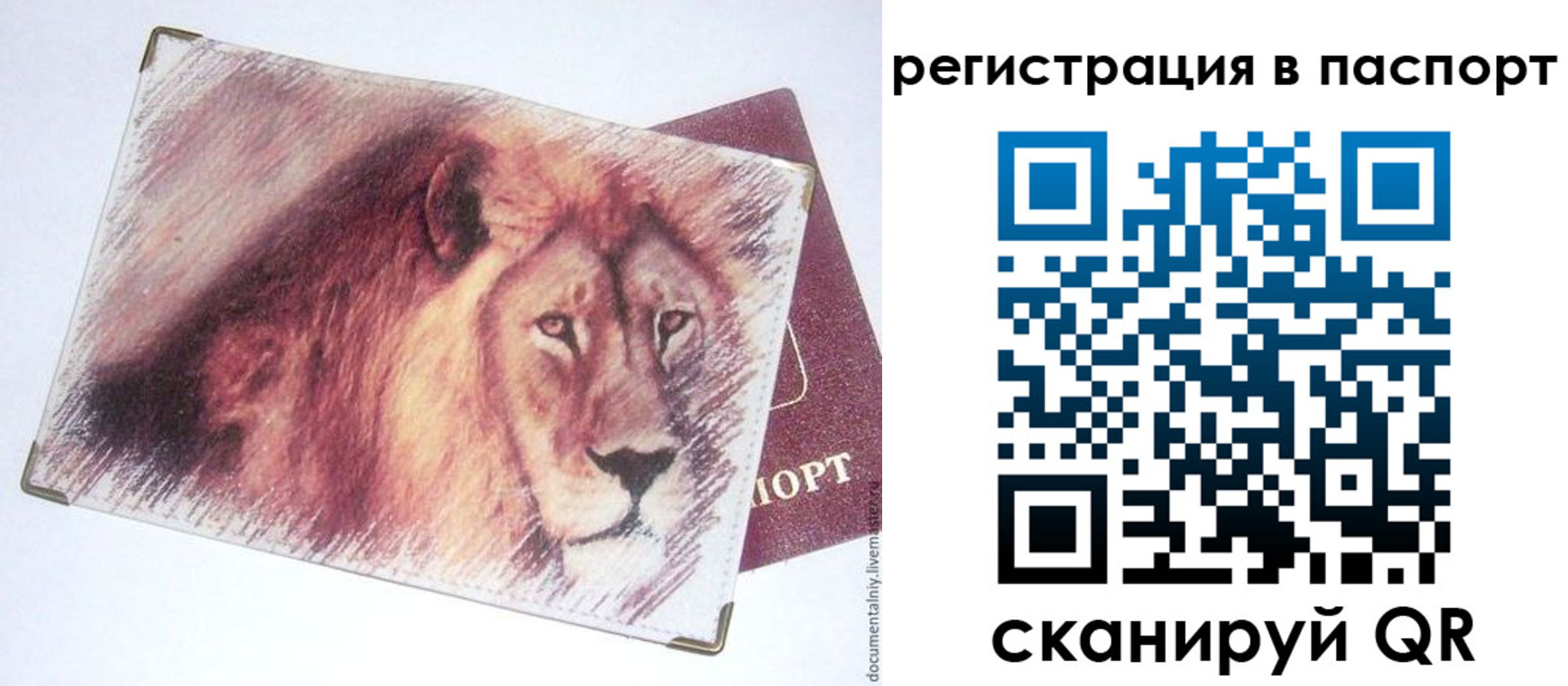 временная регистрация для школы в Благовещенске